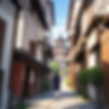 A Comprehensive Exploration of 22 Pieces Kyoto in the Anime Landscape Summary A Comprehensive Exploration of 22 Pieces Kyoto in the Anime Landscape Summary