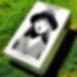 Cover art of the Punpun box set showcasing its unique style